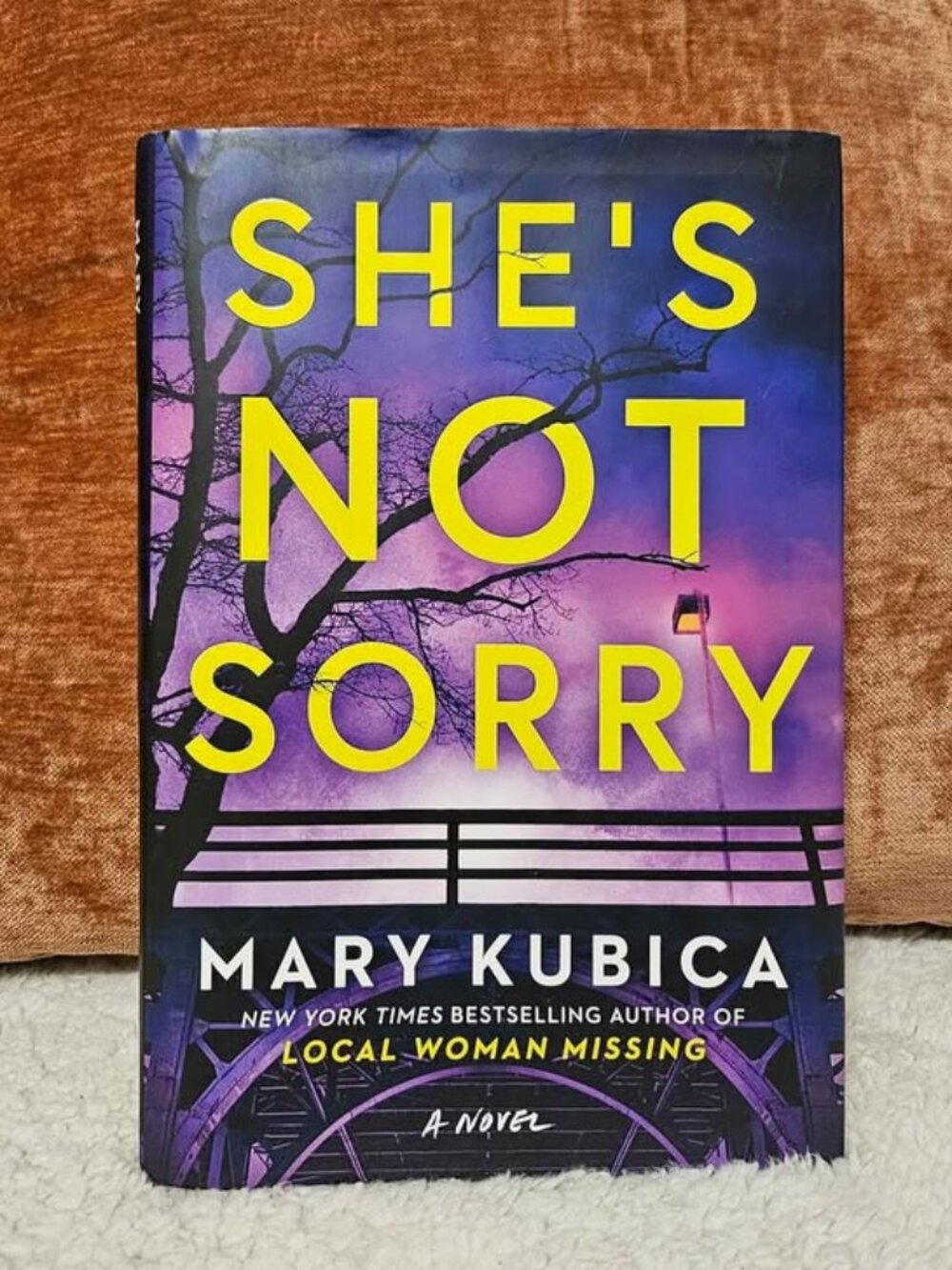 She's Not Sorry by Mary Kubica